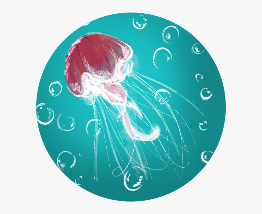 Jellyfish Png, Transparent Png, Free Download