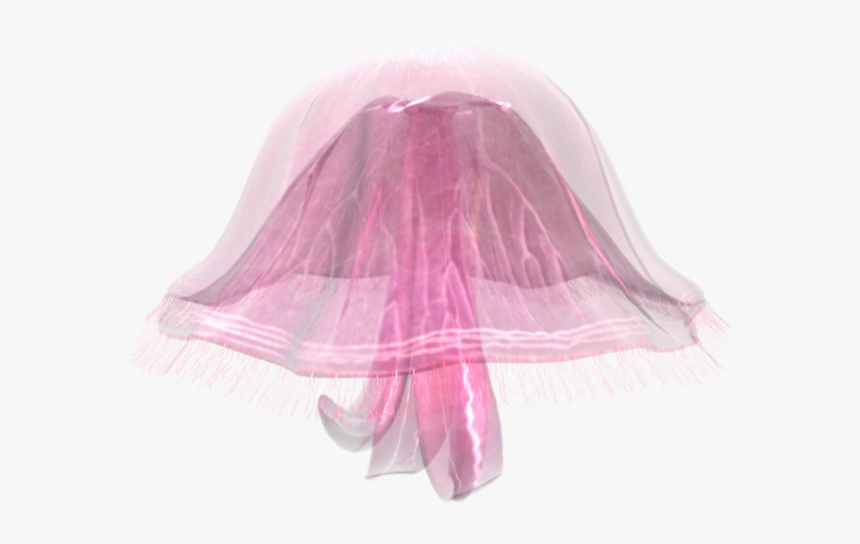 Jellyfish Png, Transparent Png, Free Download