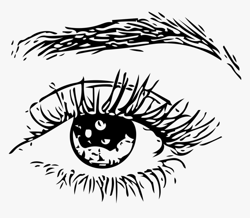 Eyebrows Png, Transparent Png, Free Download