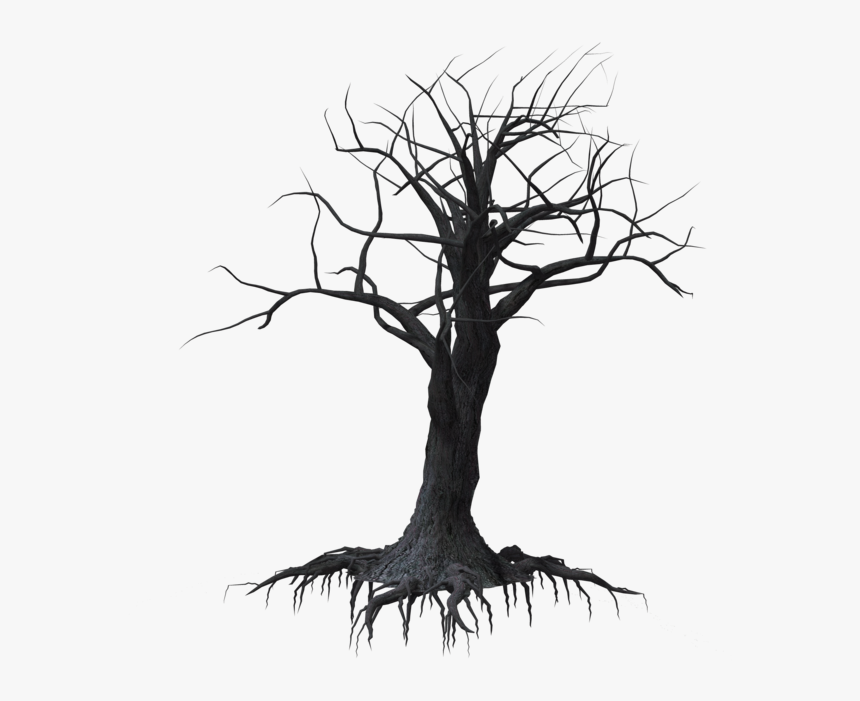 Creepy Tree Transparent Background, HD Png Download, Free Download