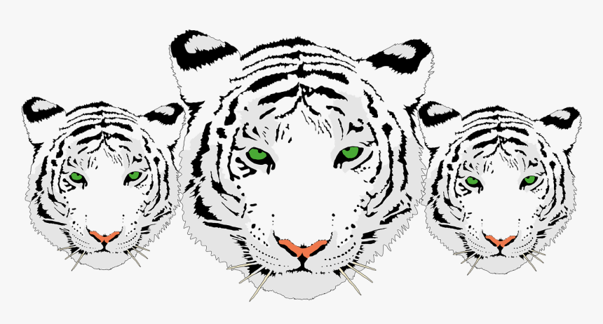 Transparent Tiger Png - Transparent White Tiger Logo, Png Download, Free Download