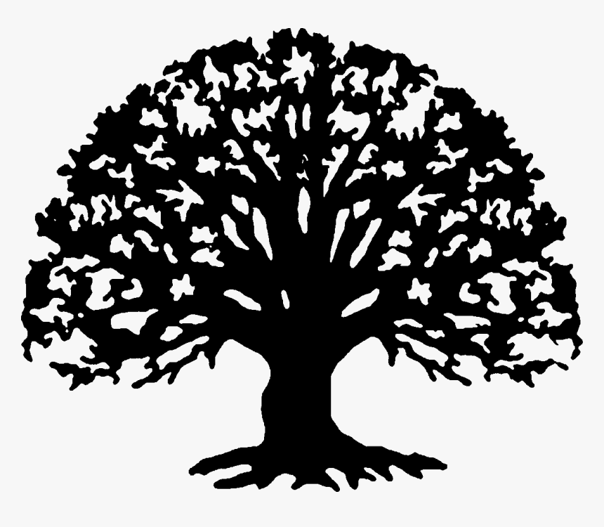 Family Tree Clipart Black And White Collection - Family Reunion Tree Silhouette, HD Png Download, Free Download