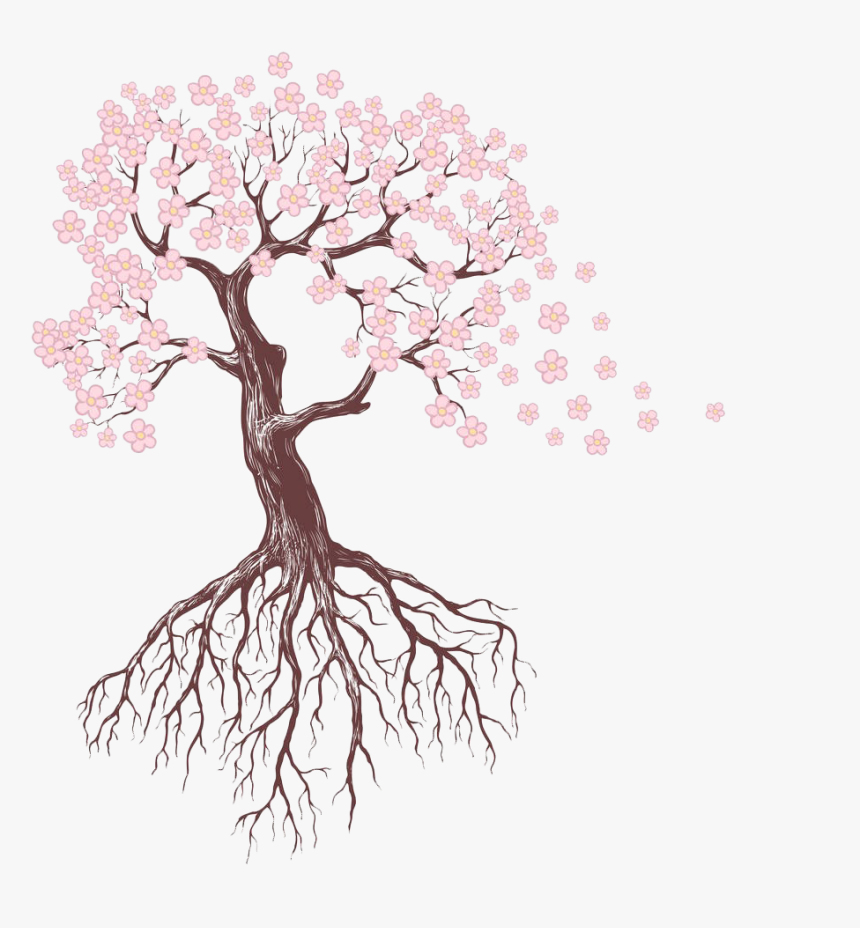 Tree Roots Drawing - Trees With Flowers Drawings, HD Png Download, Free Download