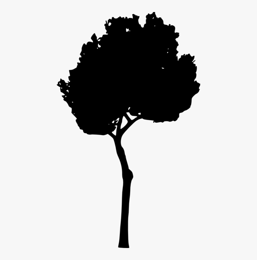 Tree Silhouette Png - Silhouette, Transparent Png, Free Download
