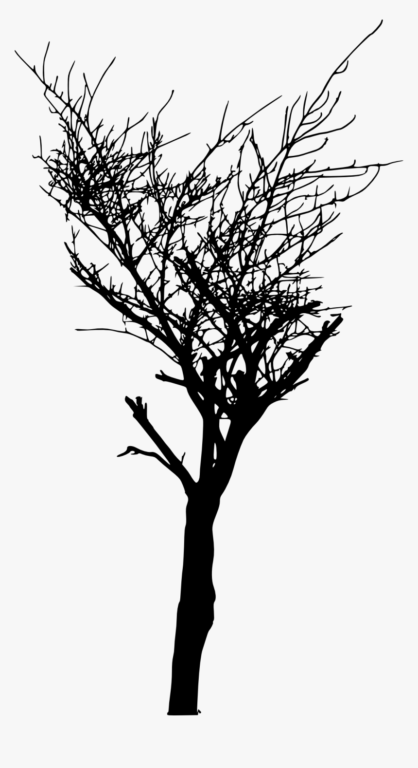 Tree Roots Silhouette Png, Transparent Png, Free Download