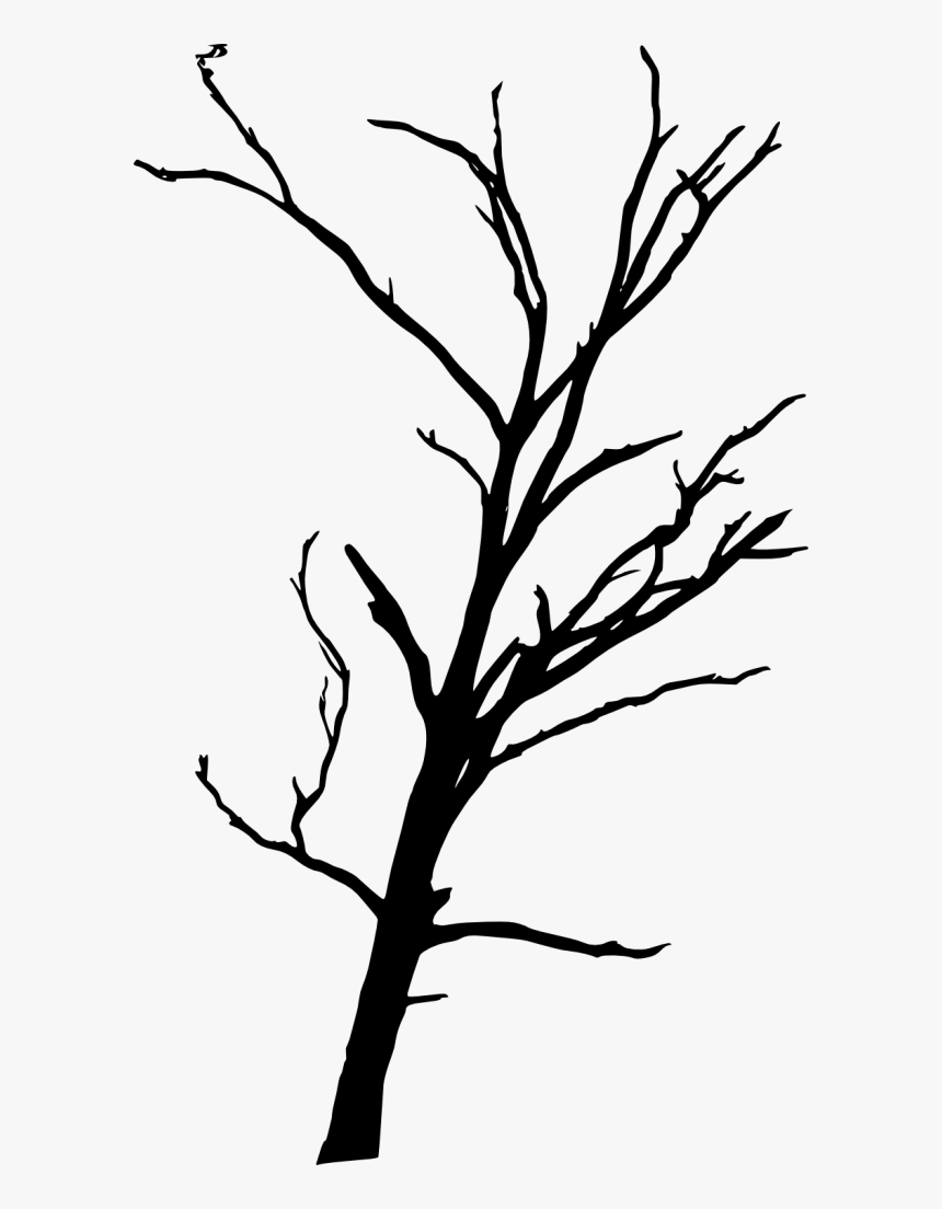 Forrest Drawing Dead Tree Forest Transparent Png Clipart - Dead Tree Transparent Background, Png Download, Free Download