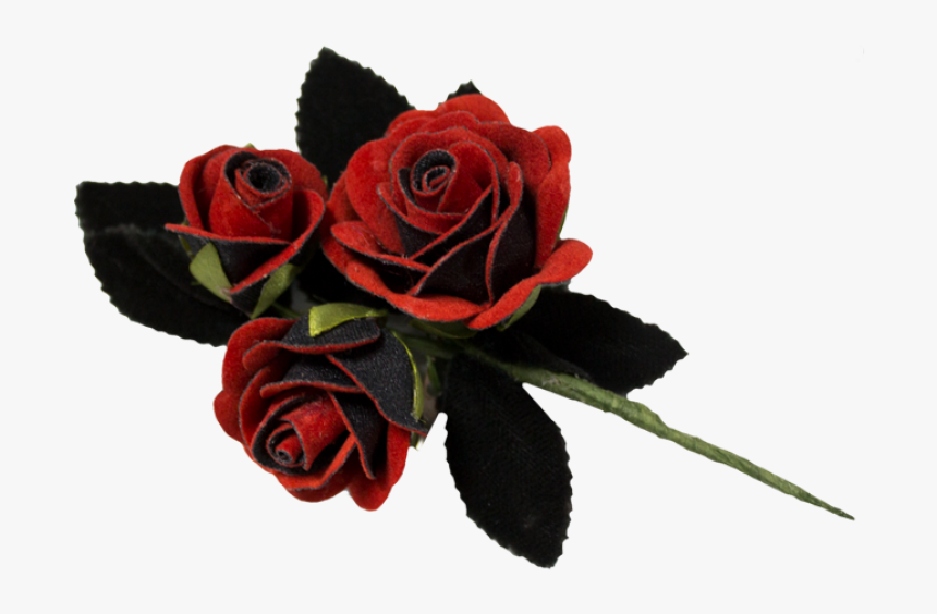 A456-red - Floribunda - Floribunda, HD Png Download, Free Download