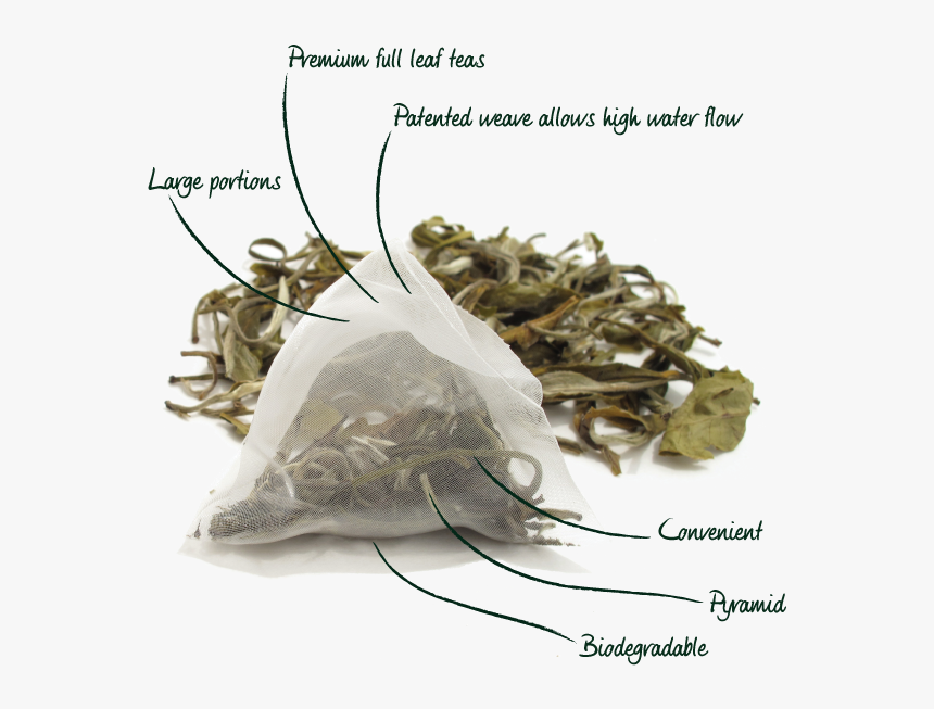 Loose Leaf Tea Bags, HD Png Download, Free Download