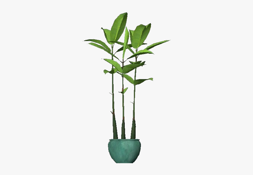 3d Flowers - Ficus Robusta - Acca Software - Plantas 3d Png, Transparent Png, Free Download