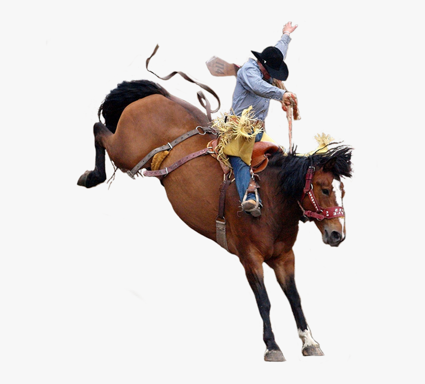 Transparent Bucking Horse Clipart - Rodeo Png, Png Download, Free Download