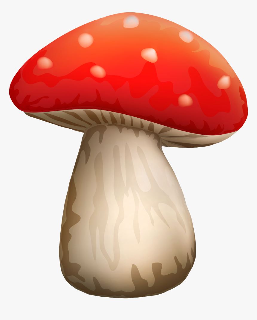 Gnome Clipart Red Mushroom, HD Png Download, Free Download