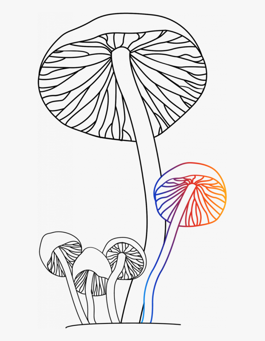 Transparent Magic Mushroom Clipart - Line Art, HD Png Download, Free Download