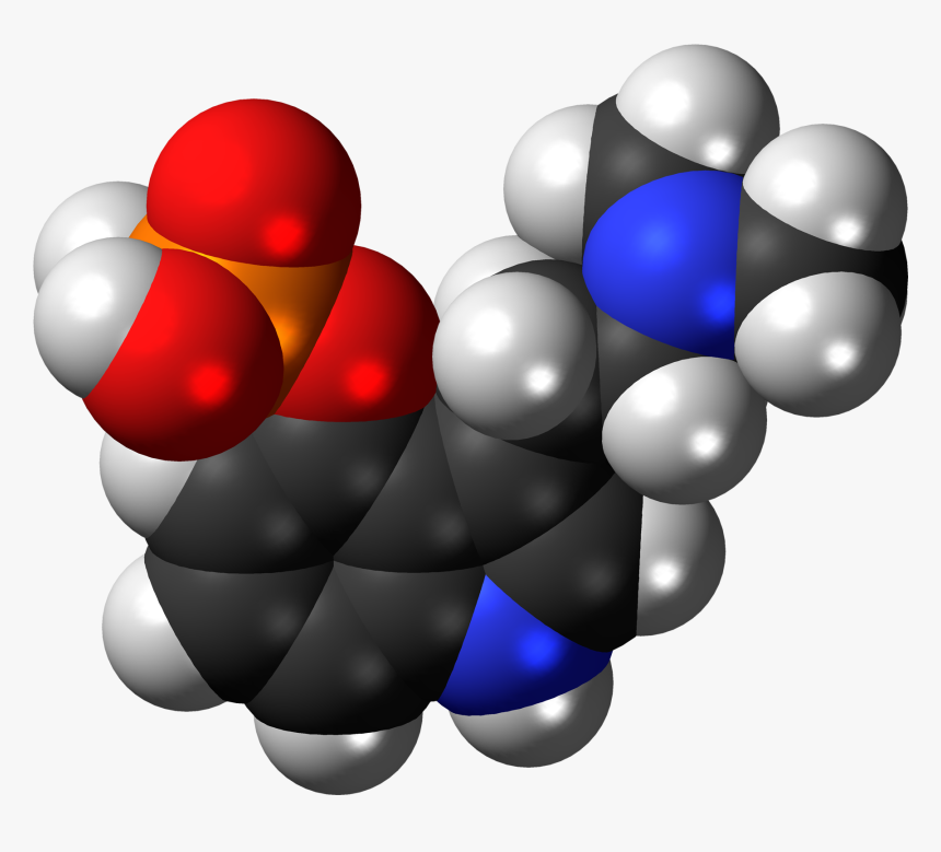 Psilocybin 3d Spacefill - Dmt Molecule Space Filling, HD Png Download, Free Download