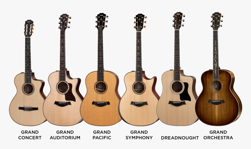 Taylor Guitar Body Shapes - Taylor, HD Png Download, Free Download