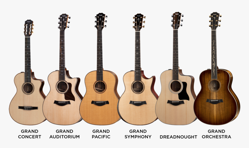 Taylor Guitar Body Shapes - Taylor, HD Png Download - kindpng