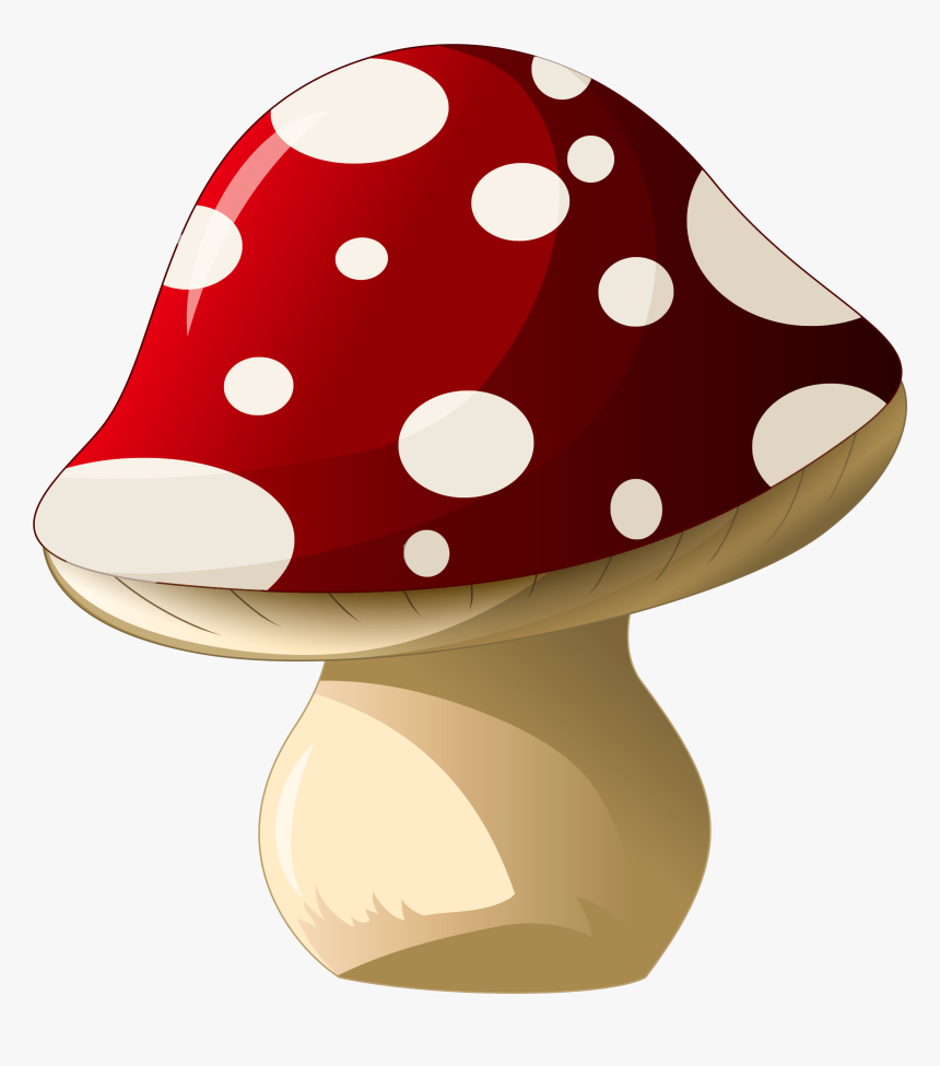 Png Picture - Mushroom Clipart Png, Transparent Png, Free Download