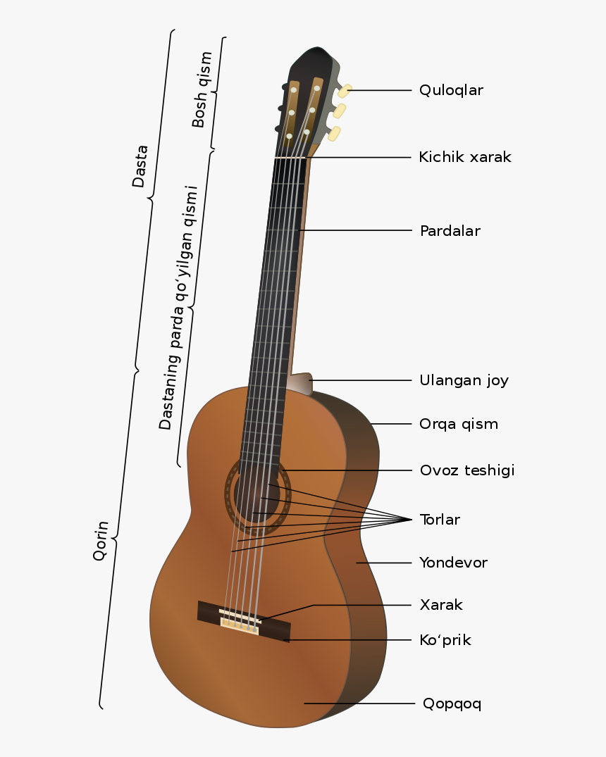 Classical Guitar Structure, HD Png Download, Free Download