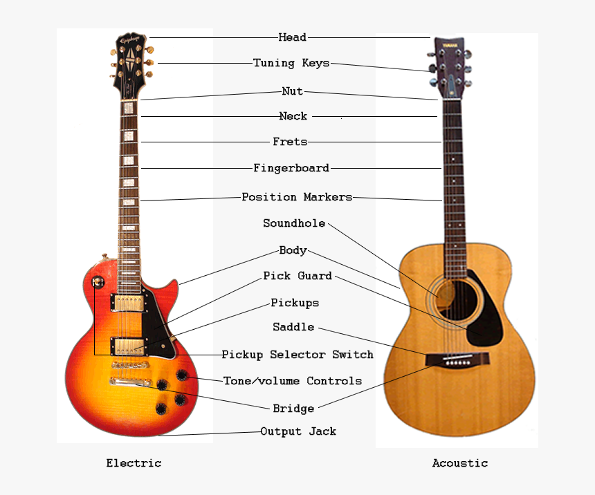 An Overview Of Guitar Parts Electric Acoustic Guitar - Acoustic Guitar, HD Png Download, Free Download