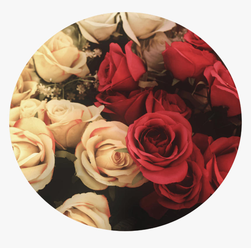 Hd Flower Flores Rosas Fondo Tumblr Floribunda Free - Fondo De Flores Tumblr Png, Transparent Png, Free Download