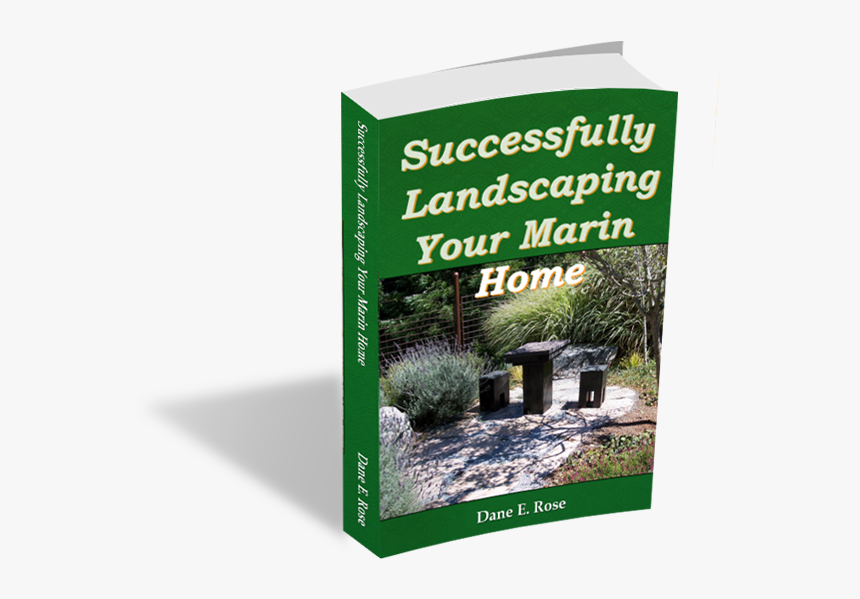 Transparent Landscaping Plants Png - Colorado Spruce, Png Download, Free Download