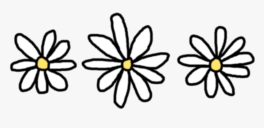 Daisy Png, Transparent Png, Free Download