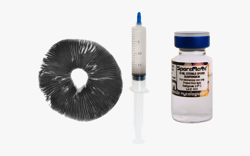 Order Nepal Chitwan Spore Print, Spore Syringe And - Cubensis Spore Print, HD Png Download, Free Download