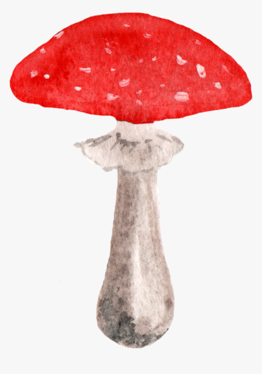 Mushroom Clipart Woodland Mushroom - Watercolor Clip Art Woodland, HD Png Download, Free Download