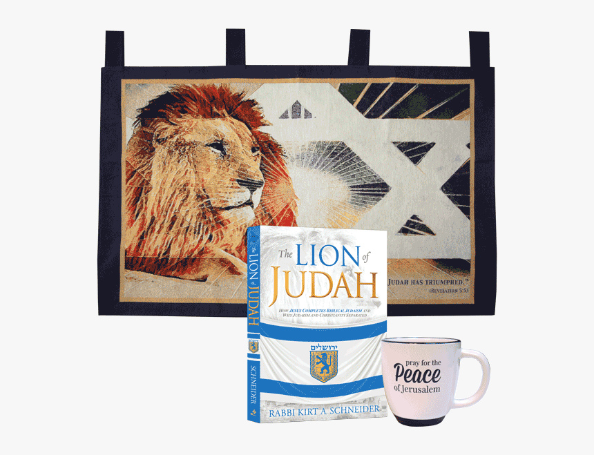 Rabbi Kirt Schneider - Lion Of Judah And Star Of David, HD Png Download, Free Download