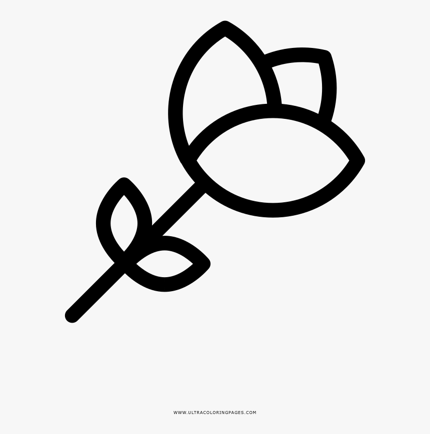 Transparent Flores Png Tumblr - Flores Por A Para Colorir, Png Download, Free Download