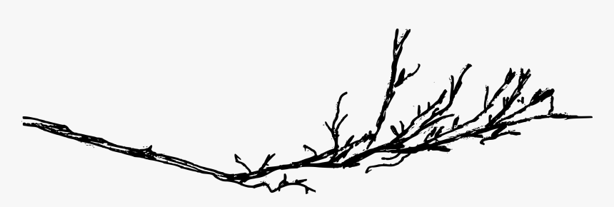 Png Old Tree Branches, Transparent Png, Free Download