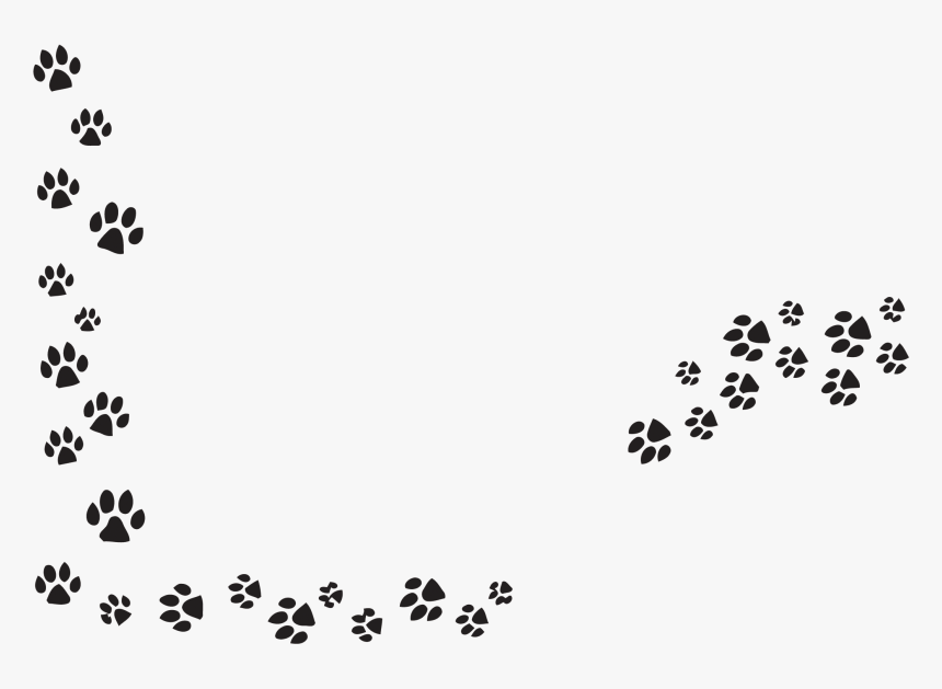 Paw Pet Sitting Dog Cat Vector Claw Clipart - Dog Paws Transparent Background, HD Png Download, Free Download