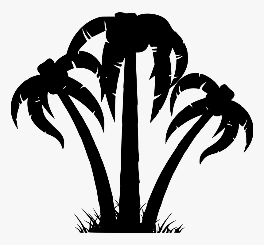 Transparent Palm Trees Clipart - Palm Tree Clip Art, HD Png Download, Free Download