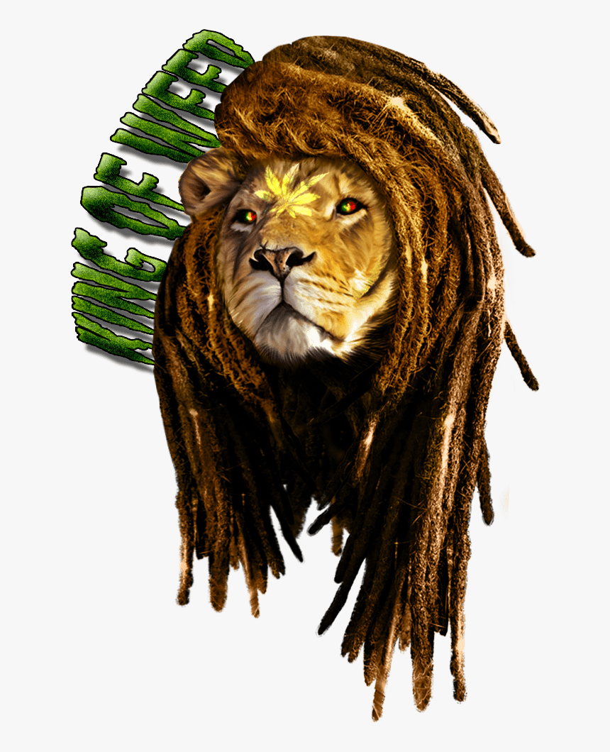 Rastafarian Lion Of Judah Tattoo - Leon Con Rastas Png, Transparent Png, Free Download