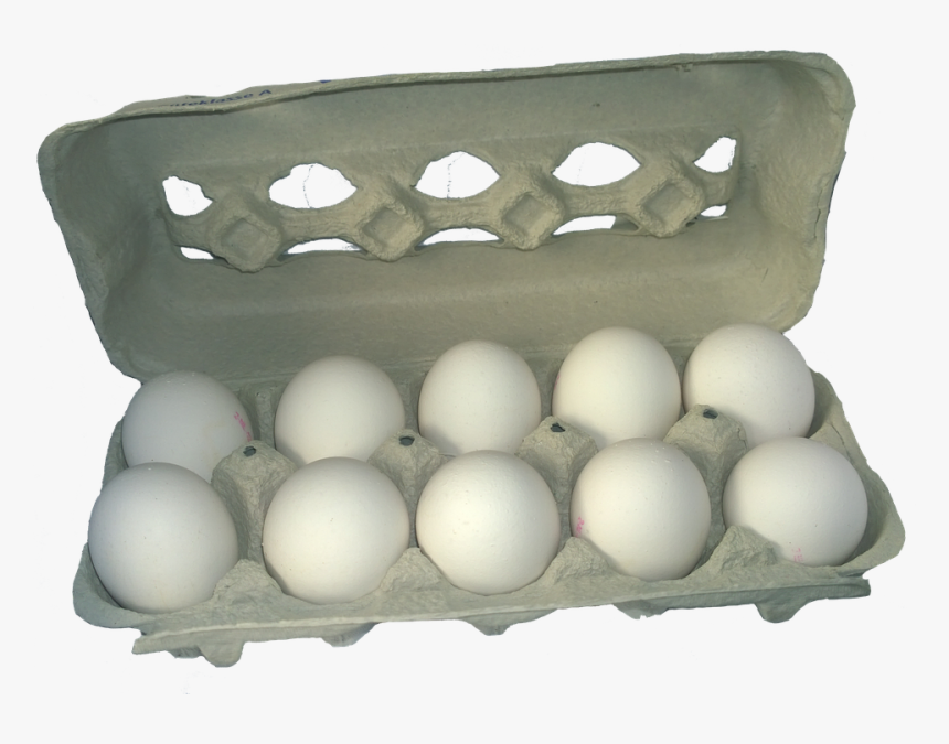 Transparent Egg Carton Clipart - Carton Of Eggs Png, Png Download, Free Download