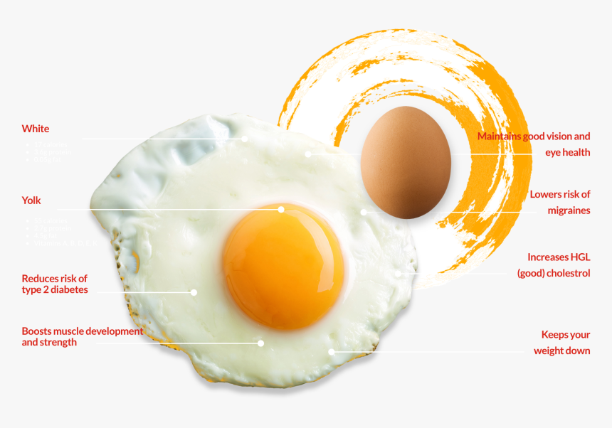 Fried Egg, HD Png Download, Free Download