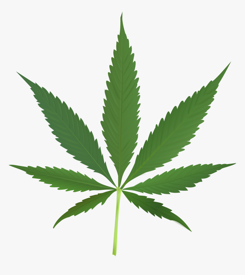 Cannabis Png, Transparent Png, Free Download