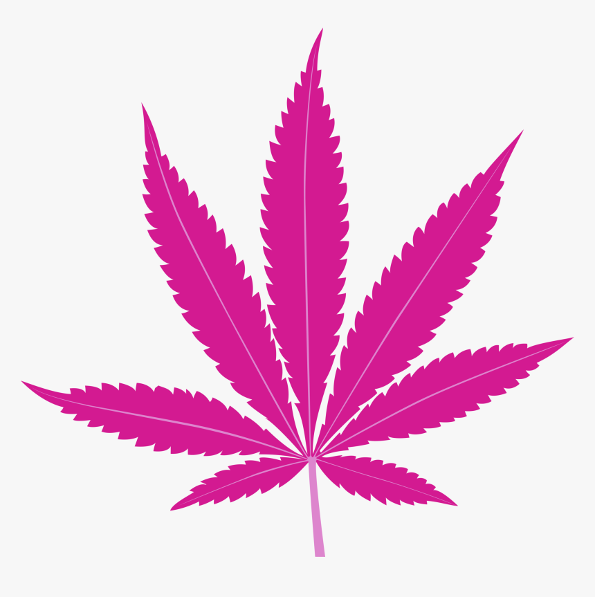 Here’s What Research Says About Breast Cancer And Cannabis, HD Png Download, Free Download