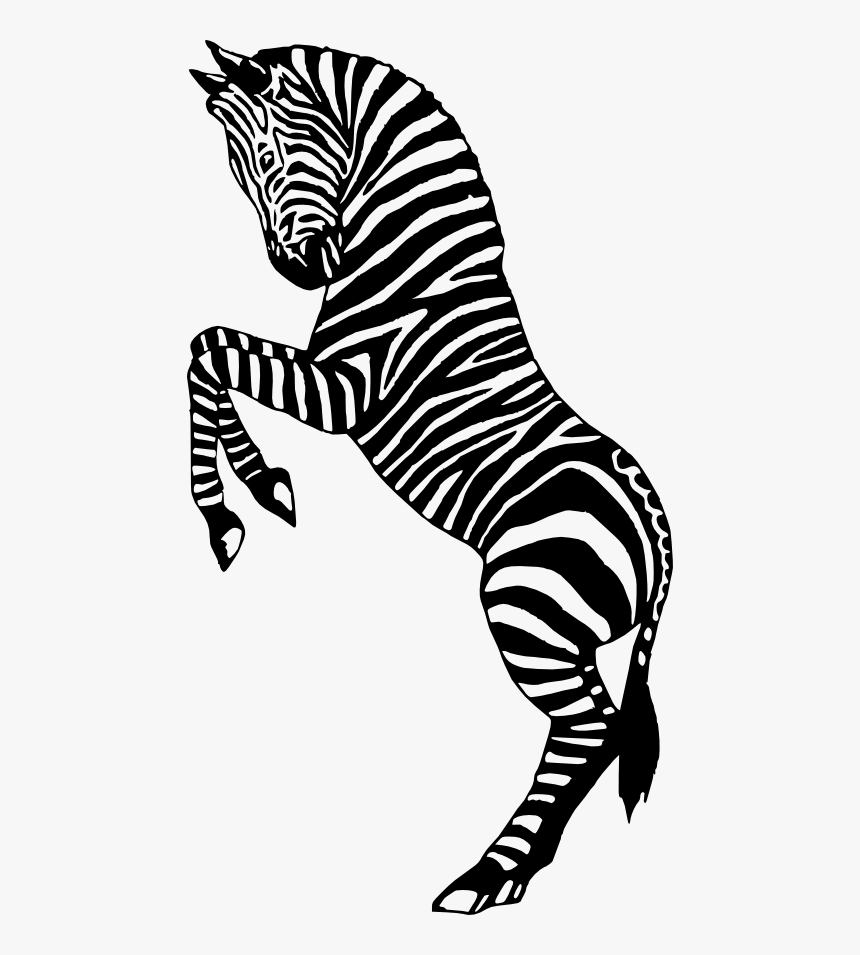 Zebra Silhouette Circus Clip Art - Silhouette Zebras, HD Png Download, Free Download