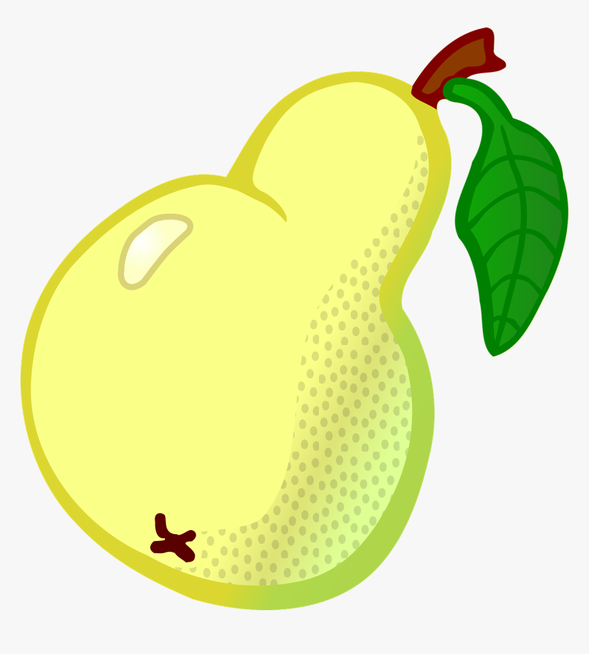 Pear Png, Transparent Png, Free Download