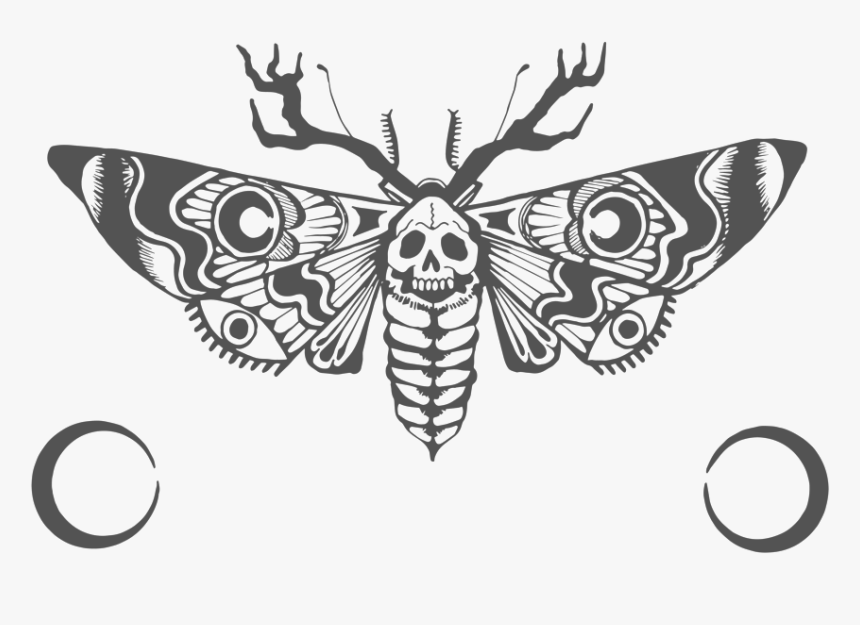 Moth Horns, HD Png Download, Free Download