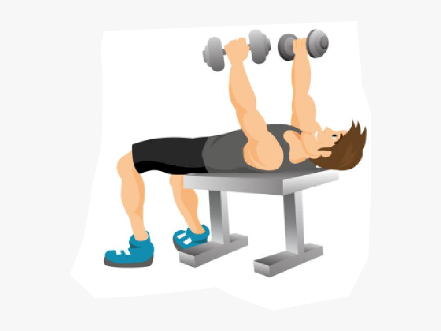 Transparent Dumbbell Clipart Png, Png Download, Free Download