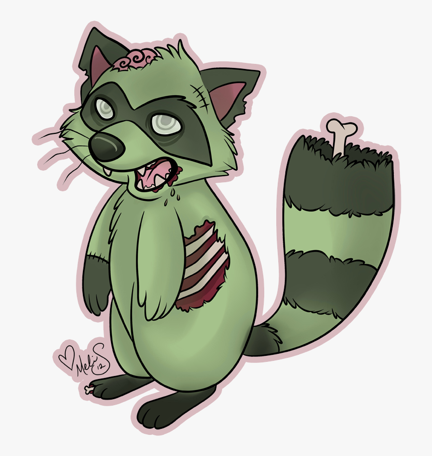 Raccoon Png, Transparent Png, Free Download