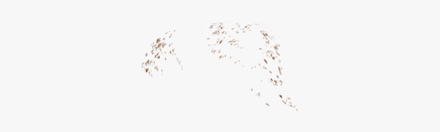 Freckles Overlay Png, Transparent Png, Free Download