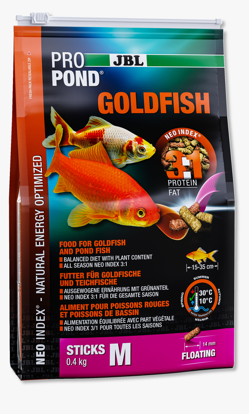 Goldfish Png, Transparent Png, Free Download