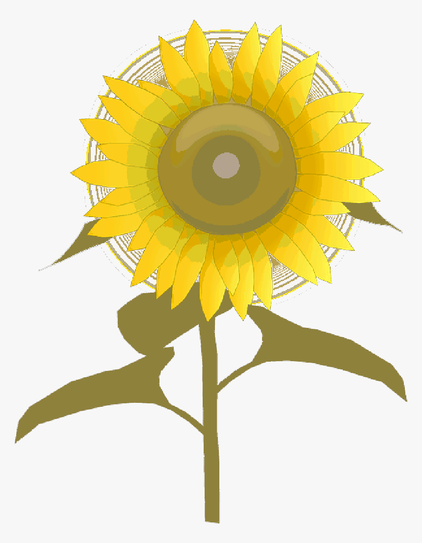 Collection Of Sunlight Clipart, HD Png Download, Free Download