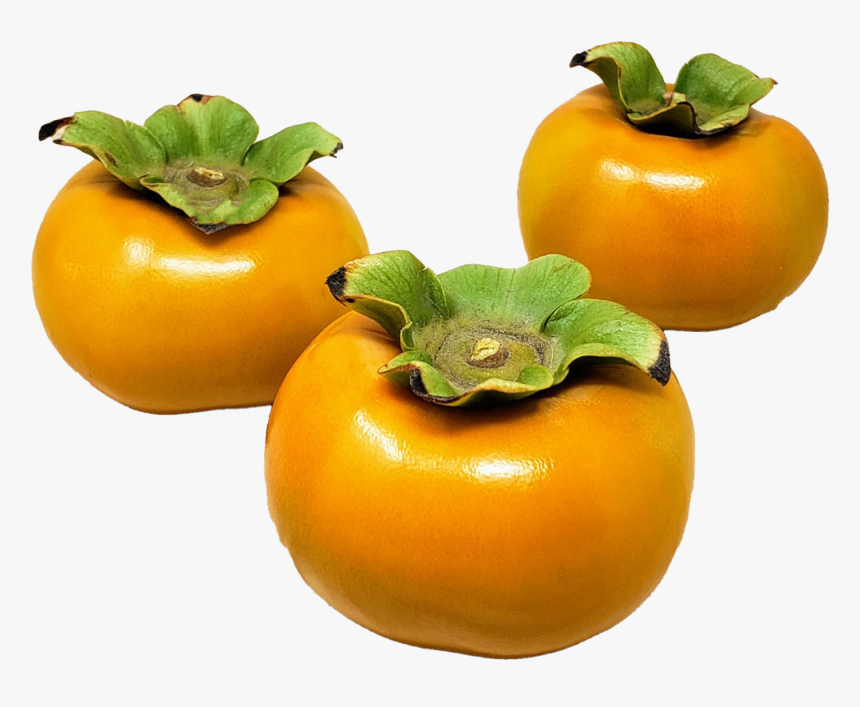 Persimmon Png Hd Photo, Transparent Png, Free Download