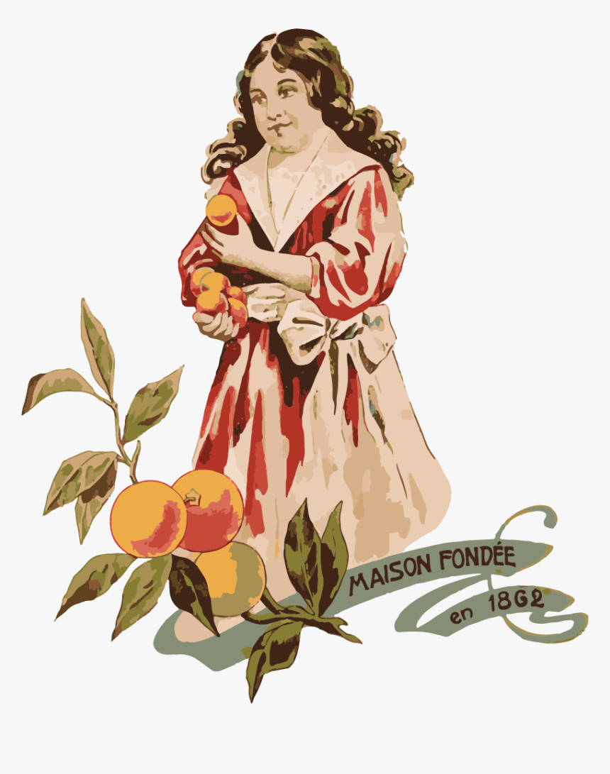 Cardassilairs Web Elemennts-05, HD Png Download, Free Download