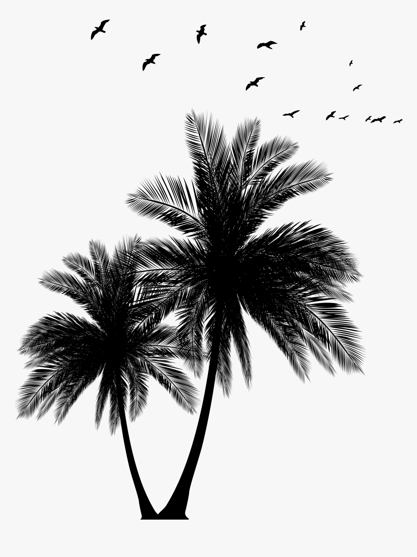 Palms Png , Png Download, Transparent Png, Free Download