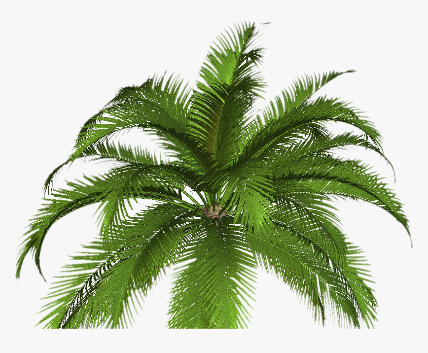 Free High Resolution Graphics And Clip Art, HD Png Download, Free Download