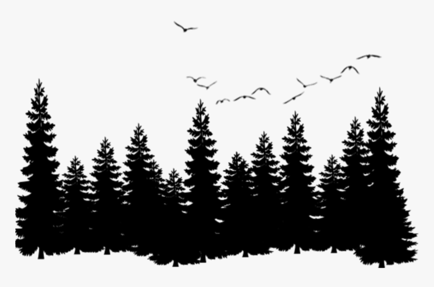 #ftestickers #birds #trees #forest #silhouette, HD Png Download, Free Download